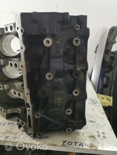 Audi A6 S6 C6 4F Blokas 46001