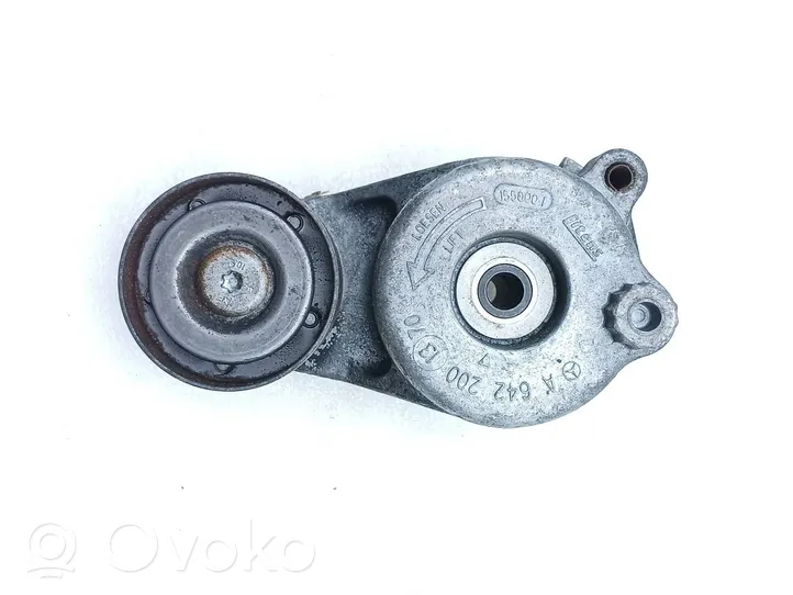 Mercedes-Benz ML W164 Napinacz paska wielorowkowego / Alternatora A6422001370