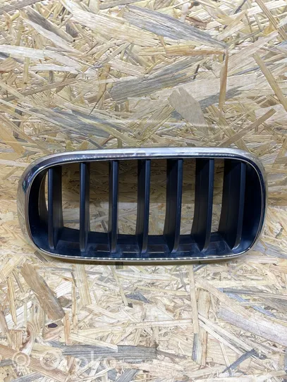 BMW X5 F15 Front bumper upper radiator grill 7316075