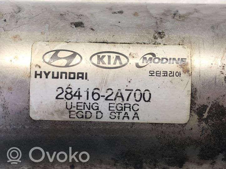 Hyundai i20 (PB PBT) EGR-venttiili/lauhdutin 284162A700
