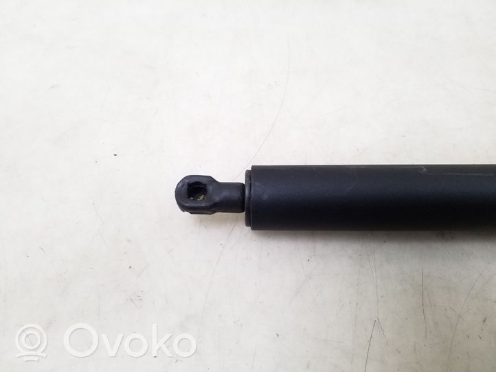 Opel Insignia A Tailgate strut 315005777