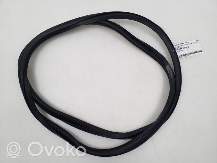 Audi A6 S6 C6 4F Rear door rubber seal (on body) 4F9833721C