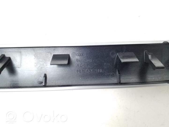 Audi A4 S4 B7 8E 8H Panelės apdaila 