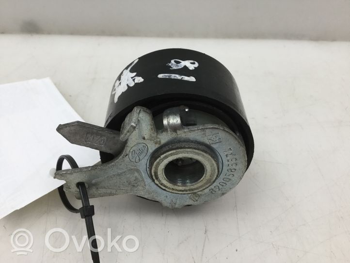 Nissan Qashqai Poulie-tendeur de courroie 8200585574