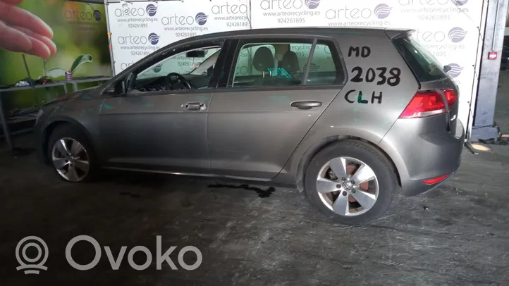 Volkswagen Golf VII Juego de discos de freno y pinzas 