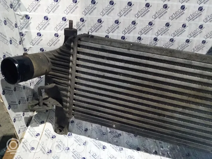 Nissan Pathfinder R51 Radiatore intercooler 14461EB360