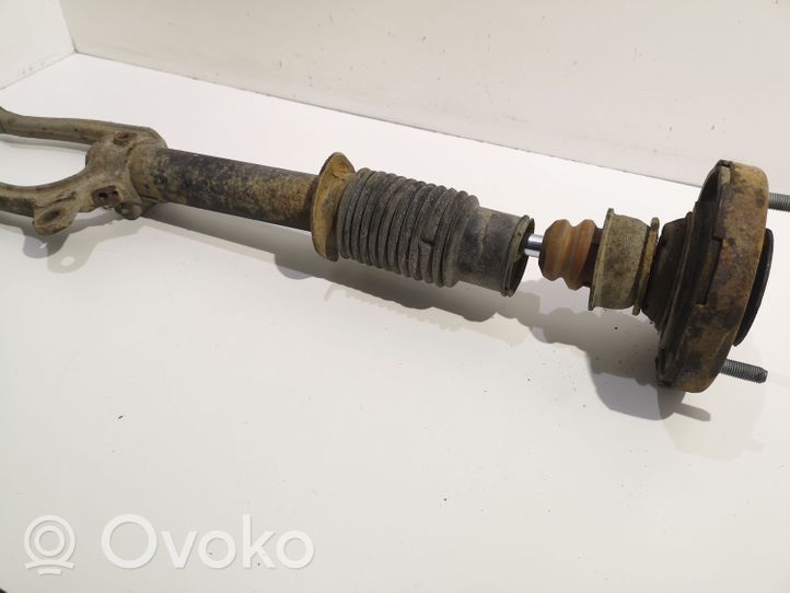 Hyundai Sonata Front shock absorber/damper 