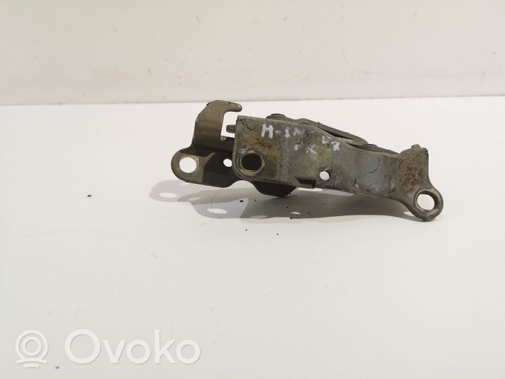 Hyundai Sonata Engine bonnet/hood hinges 