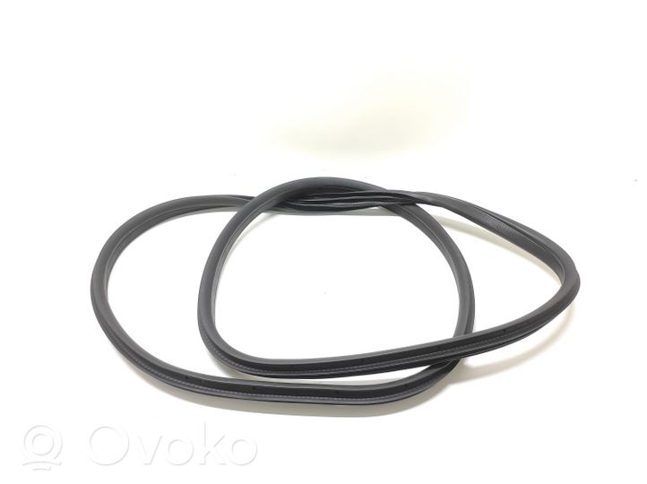 Ford C-MAX II Rear door rubber seal (on body) 