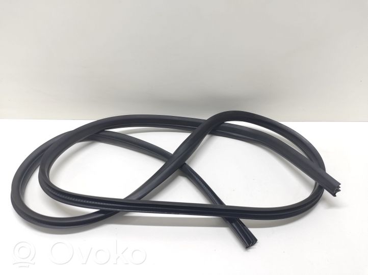 Ford C-MAX II Rear door rubber seal (on body) 