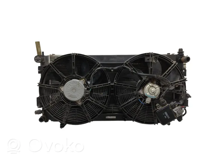 Nissan Leaf I (ZE0) Set del radiatore A18700A28001