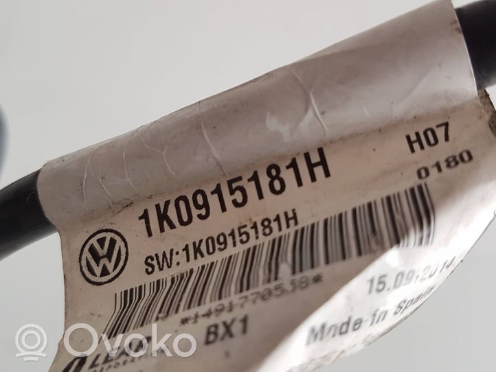 Volkswagen Tiguan Minus / Klema / Przewód akumulatora 1K0915181H