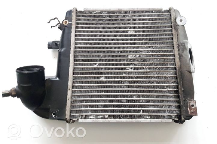 Toyota Land Cruiser (J120) Interkūlerio radiatorius 1270000450