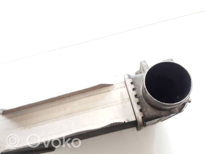 Nissan Patrol Y61 Chłodnica powietrza doładowującego / Intercooler 98101