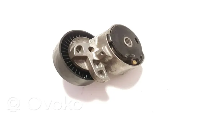 Volvo XC90 Napinacz paska alternatora 6G9N7739AD