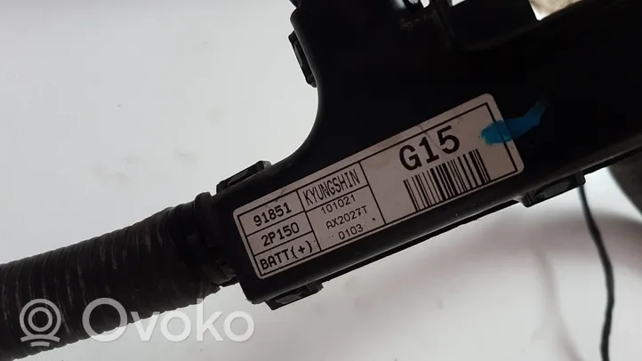 KIA Sorento Câble de batterie positif 918512P150
