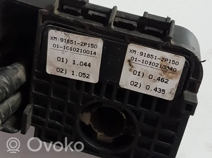 KIA Sorento Câble de batterie positif 918512P150