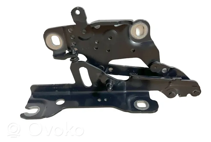 BMW 3 F30 F35 F31 Cerniere del vano motore/cofano 7336699