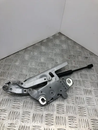 BMW 4 F32 F33 Cerniere del vano motore/cofano 7336700