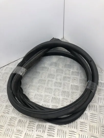 BMW 4 F32 F33 Rubber seal front coupe door 7279741