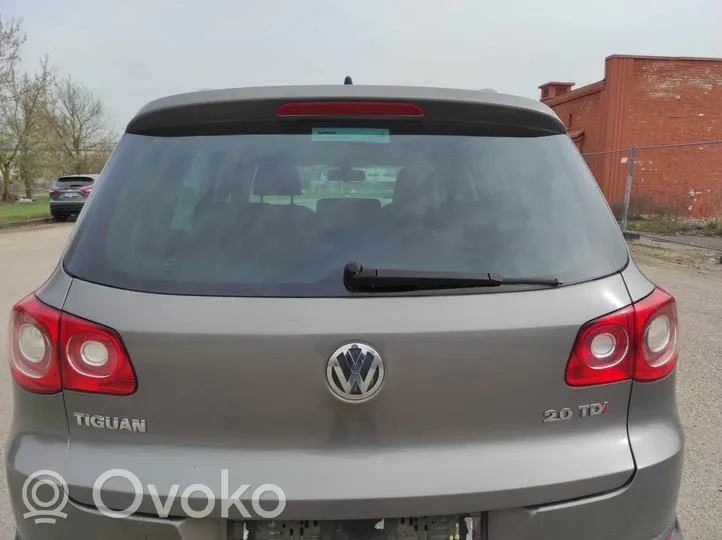 Volkswagen Tiguan Galinis dangtis (bagažinės) 