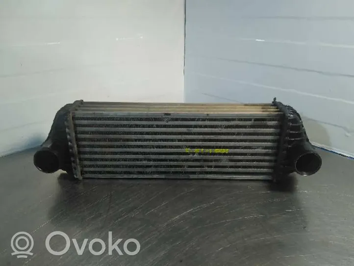 Ford Tourneo Chłodnica powietrza doładowującego / Intercooler 