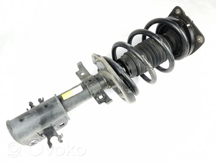 Renault Laguna III Ammortizzatore anteriore con molla elicoidale 543020015R