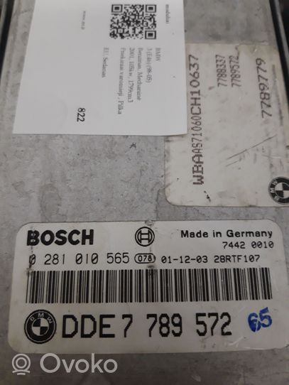 BMW 3 E46 Engine control unit/module 0281010565