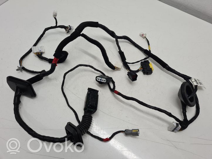 Hyundai Santa Fe Cableado de puerta delantera 916012W040