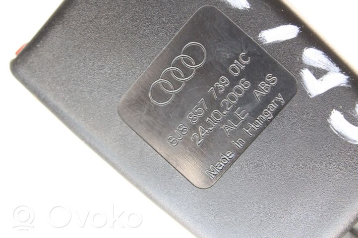 Audi TT TTS Mk2 Sagtis diržo vidurinė (gale) 8J8857739