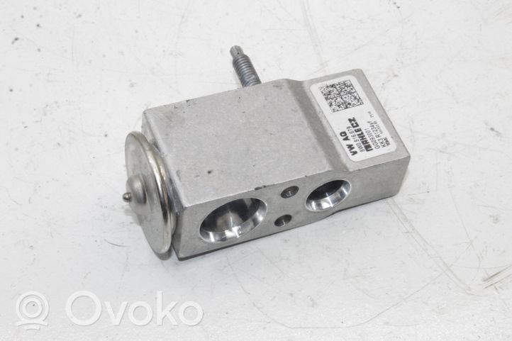 Audi A5 Клапан расширения кондиционера воздуха 8W0816679