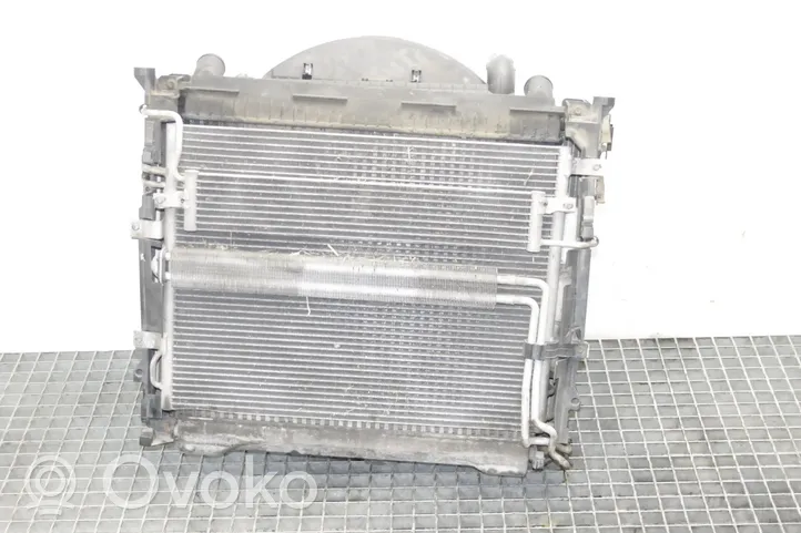 Land Rover Range Rover L322 Set del radiatore 