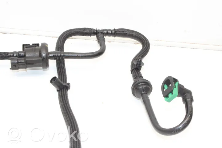 Ford Focus Vacuum line/pipe/hose C1B19G866AA