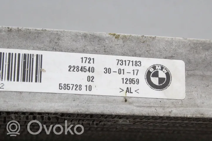 BMW 4 F32 F33 Radiatore dell’olio trasmissione/cambio 7317183