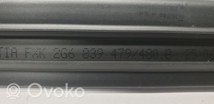 Volkswagen Polo VI AW Rubber seal rear door window/glass 2G6839479