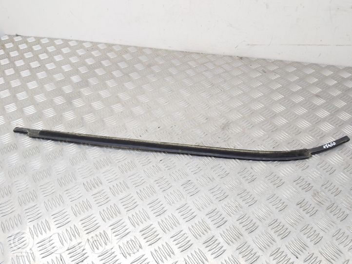 Seat Leon (5F) Rivestimento modanatura del vetro della portiera posteriore 