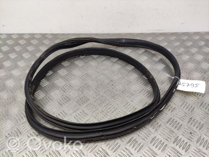 Toyota Aygo AB40 Rear door rubber seal (on body) 