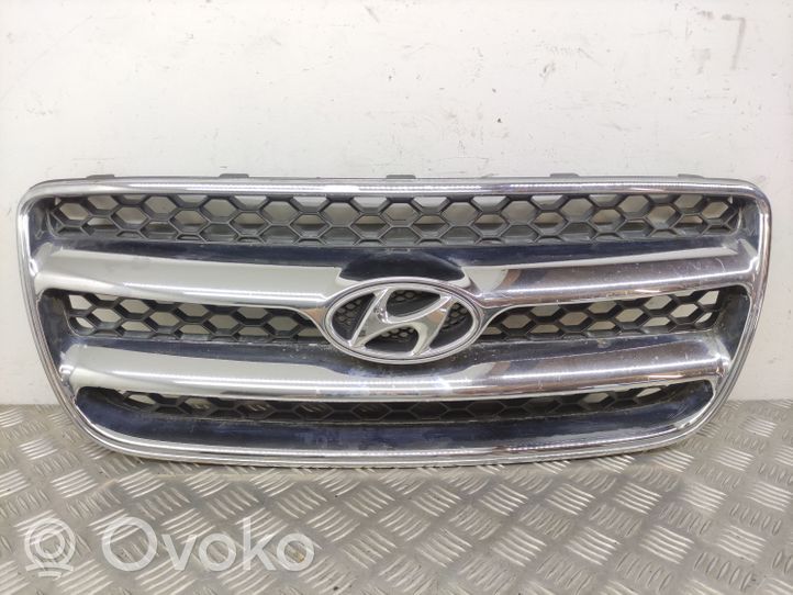 Hyundai Santa Fe Front bumper upper radiator grill 