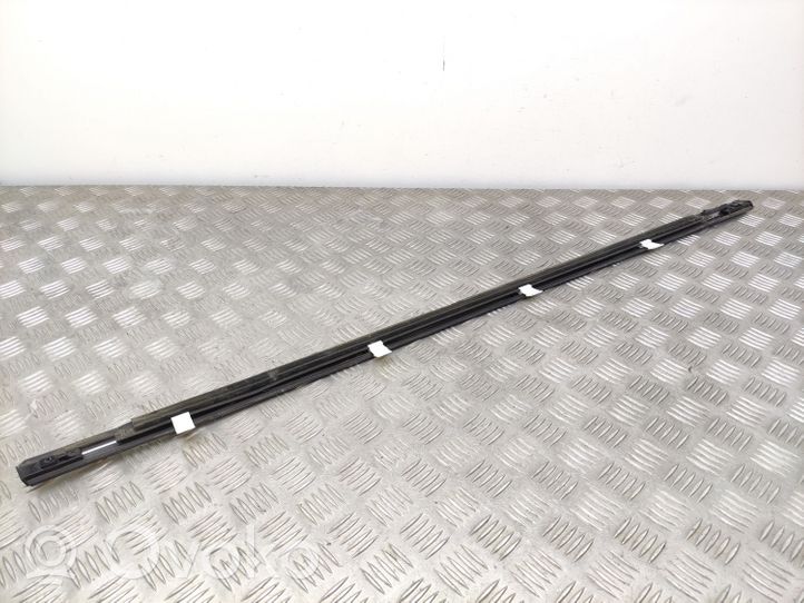 Chevrolet Captiva Front door glass trim molding 