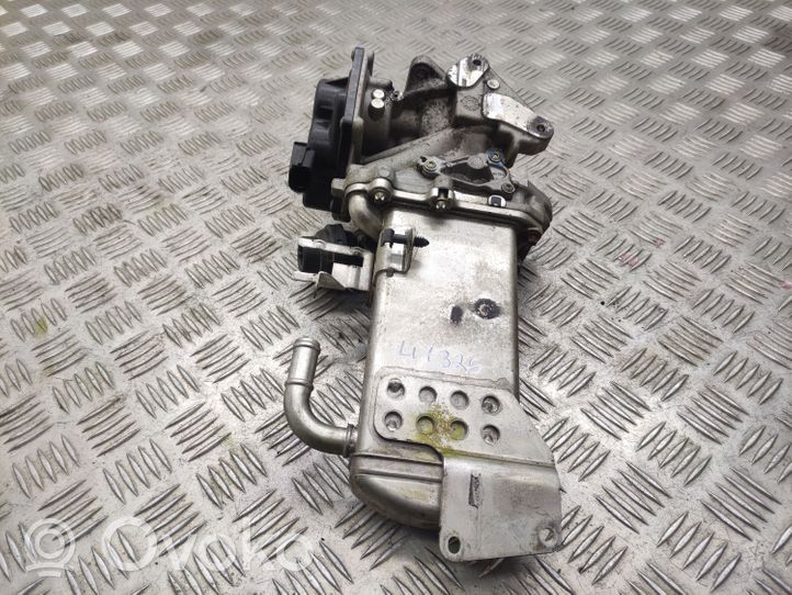 Seat Exeo (3R) EGR-venttiili/lauhdutin V29009967