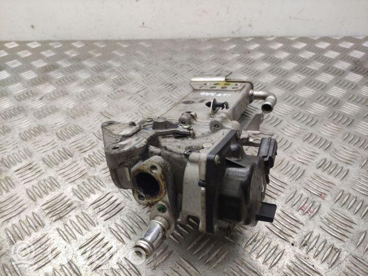 Seat Exeo (3R) EGR-venttiili/lauhdutin V29009967