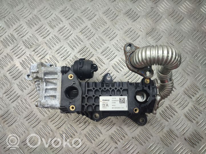 Peugeot 2008 II EGR aušintuvas 9813050280