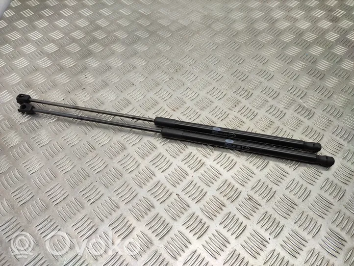 Land Rover Range Rover Evoque L538 Tailgate/trunk strut/damper BJ32406A10AB