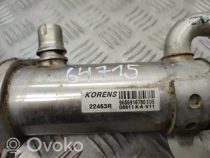 Citroen C5 EGR-venttiili 9686916780