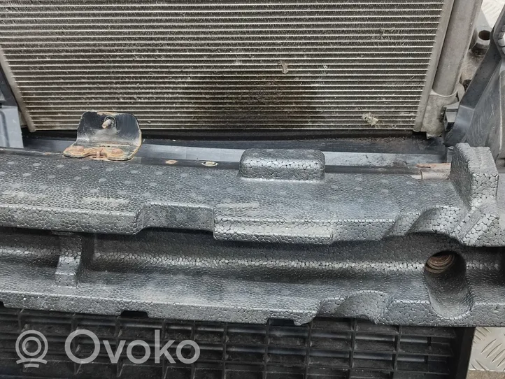 Nissan Qashqai Radiatorių panelė (televizorius) 214814EB0A