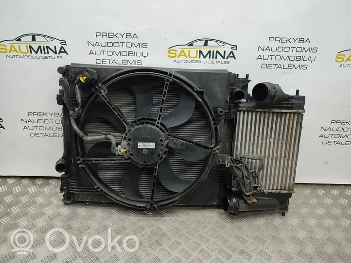 Nissan Qashqai Radiatorių panelė (televizorius) 214814EB0A