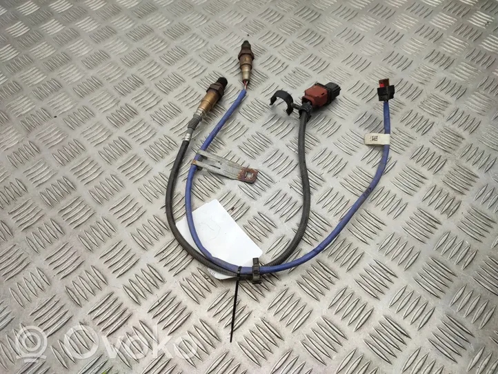 Ford Focus Sonde lambda F1FA9Y460CA