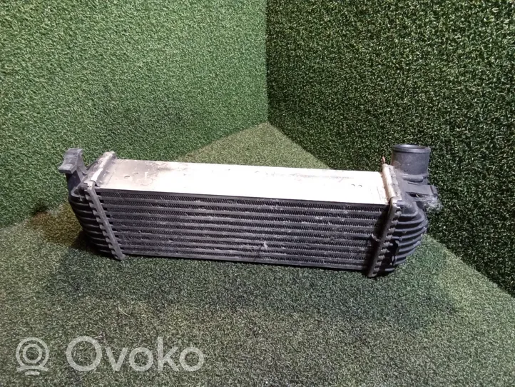 Renault Kangoo II Intercooler radiator 8200427469