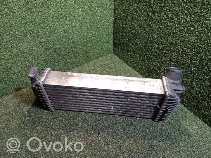 Renault Kangoo II Intercooler radiator 8200427469