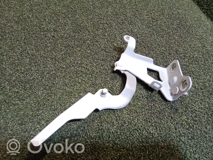 Opel Vivaro Engine bonnet/hood hinges 654010249R